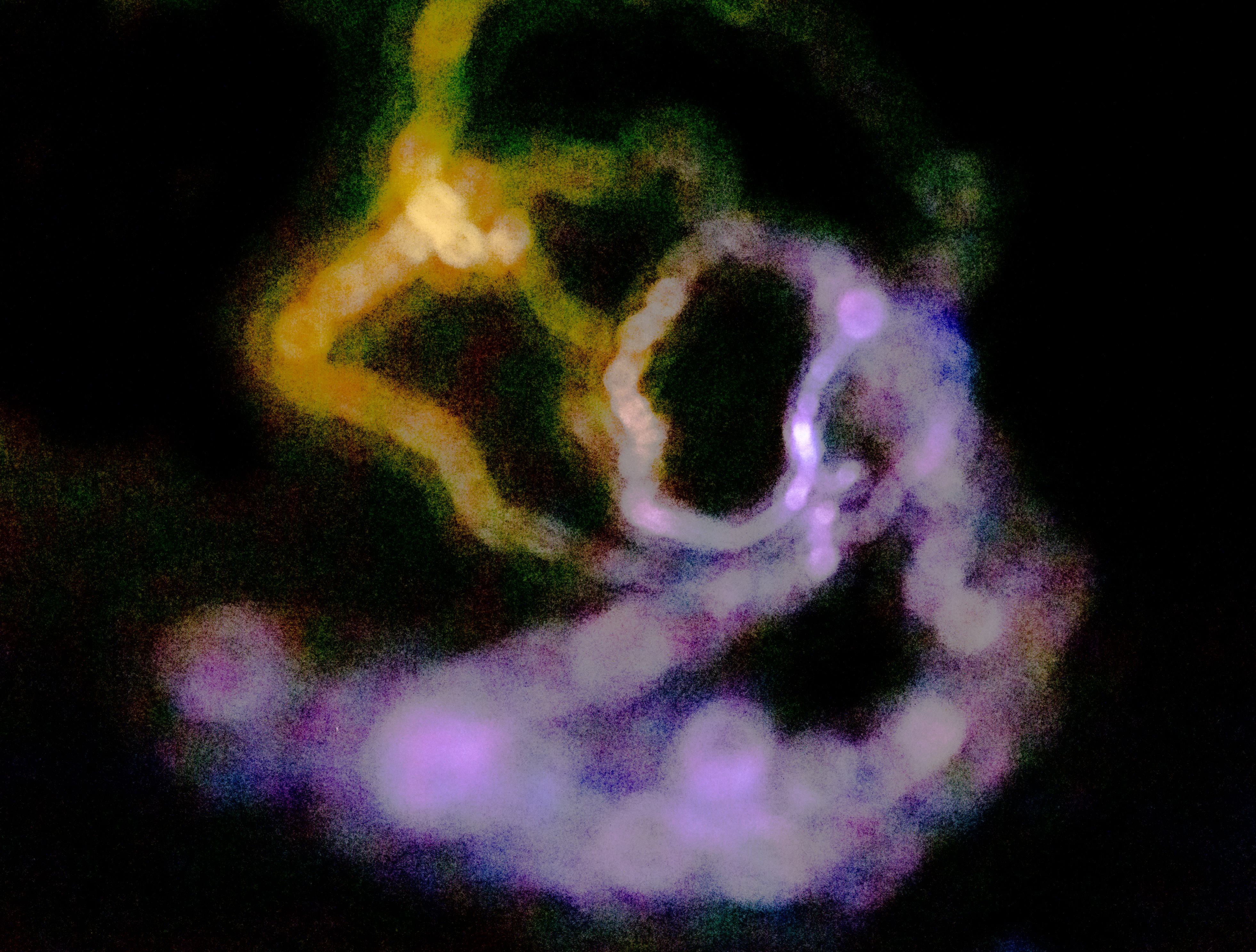 A picture of a ghost from the series haunted