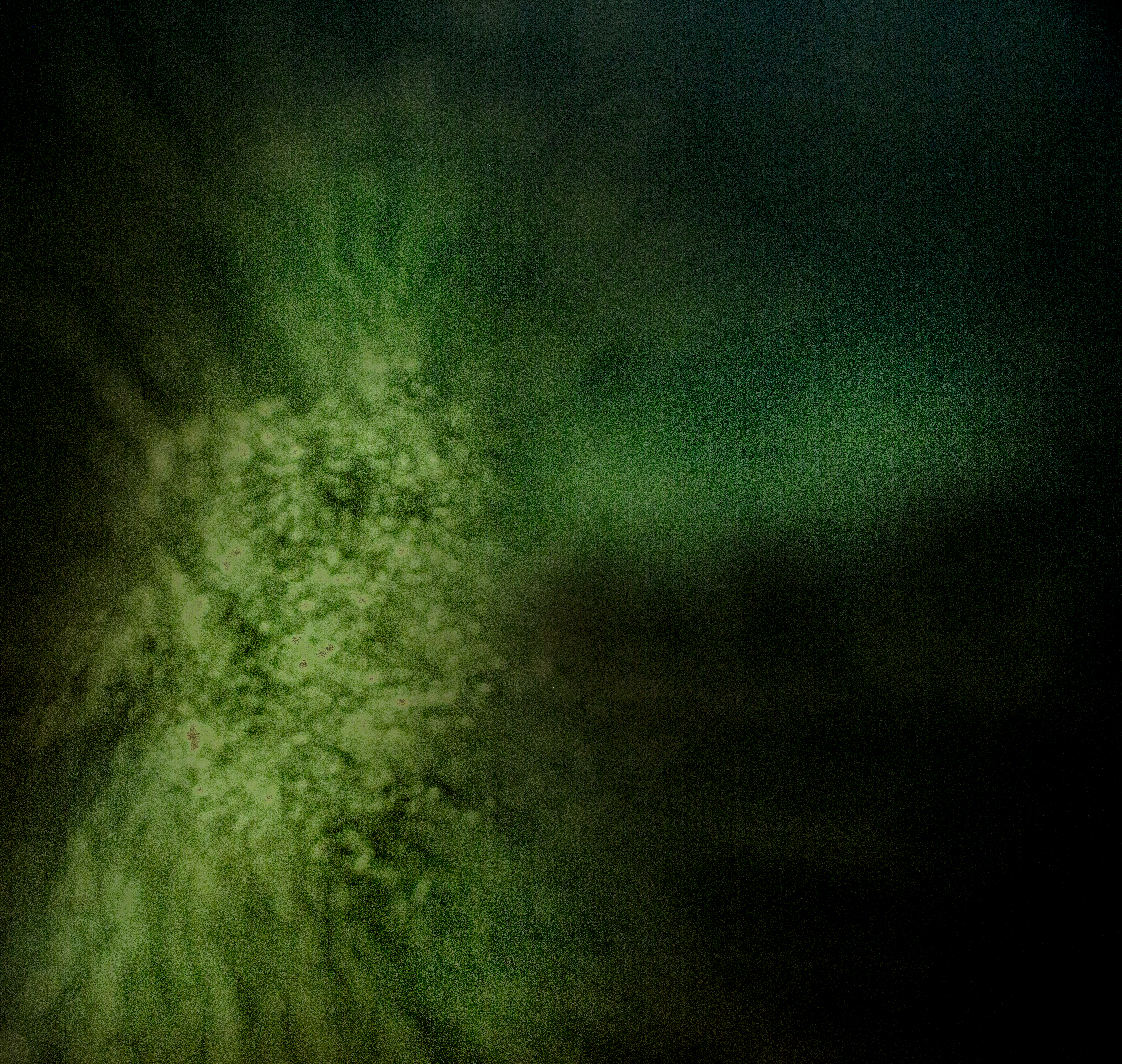 A picture of a ghost from the series haunted